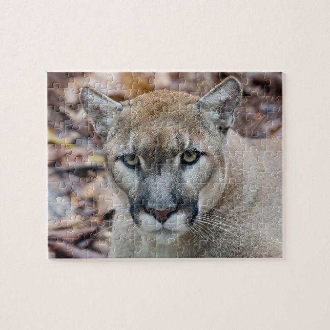 Puzzle Couguar, lion de montagne, panthère de Floride, Pu (Horizontal)