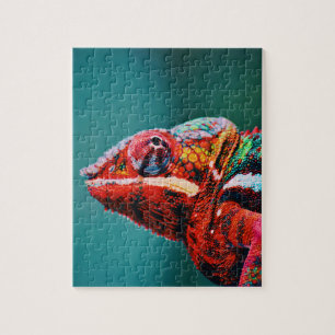 Puzzle Couleur Changement arc-en-ciel Chameleon Reptile