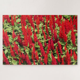 Puzzle Couleurs 1