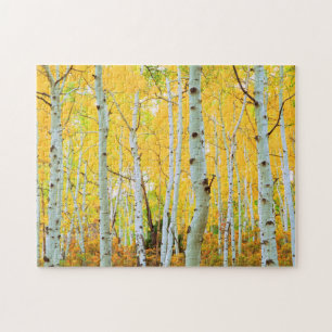 Puzzle Couleurs d'automne des arbres d'Aspen 1