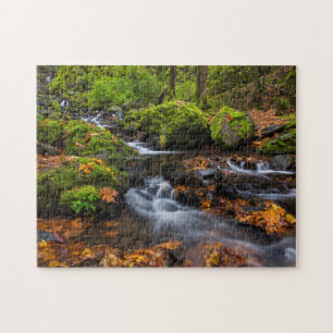Puzzle Couleurs d'automne le long des chutes de Starvatio