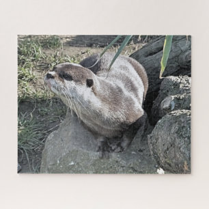 PUZZLE COUPER OTTER 