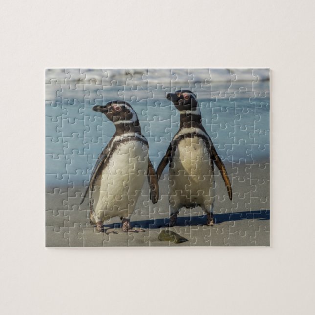 Puzzle Couple de manchots sur la plage (Horizontal)