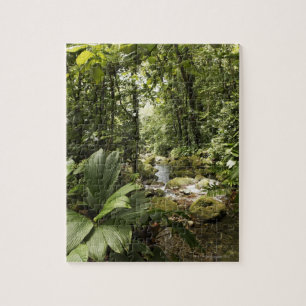 Puzzle courant dans la forêt tropicale, Dominique