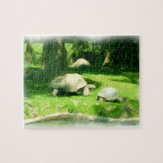Puzzle Course de tortues