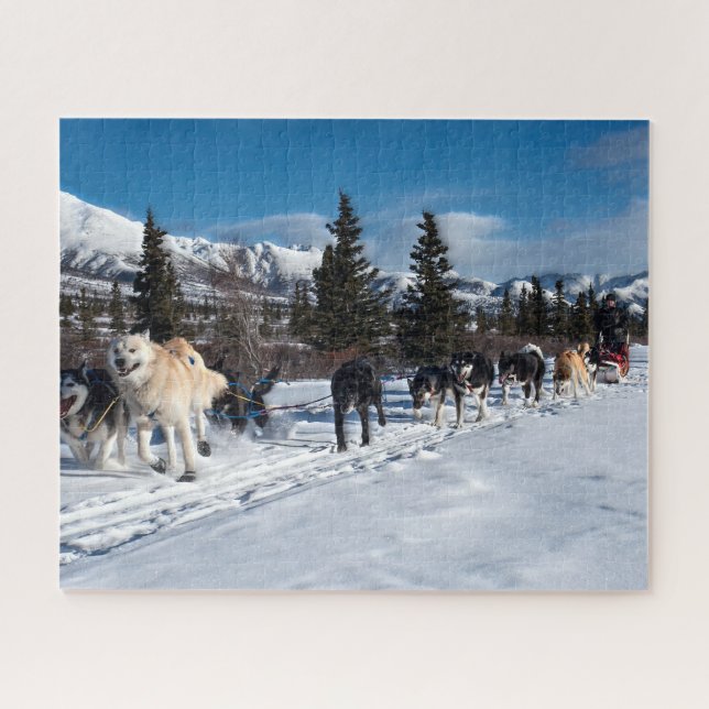 Puzzle Course enrouée de traîneau de chien de l'Alaska (Horizontal)
