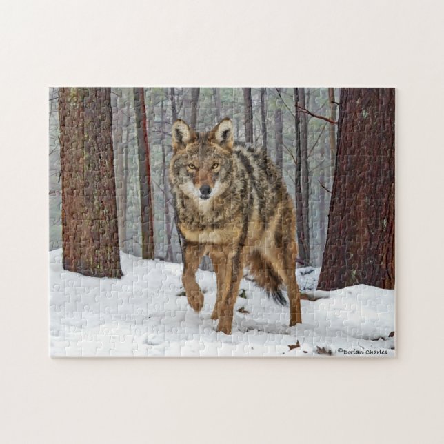 Puzzle "Coyote in the Pines" (Horizontal)