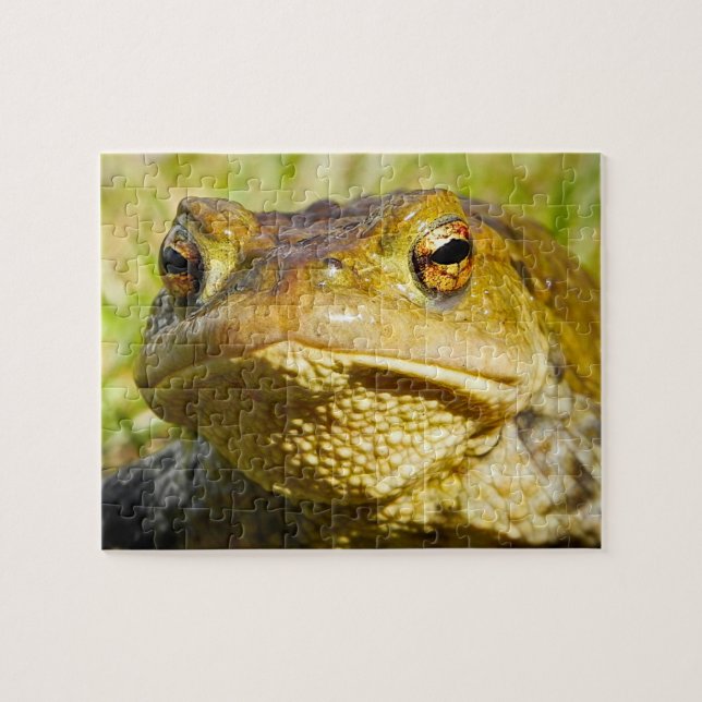 Puzzle Crapaud (Horizontal)