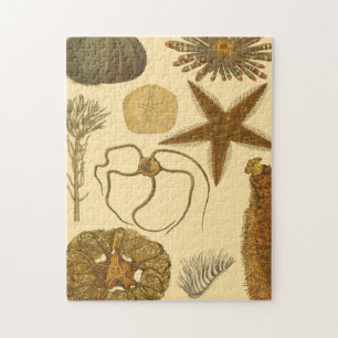 Puzzle Créatures sous-marines de mer