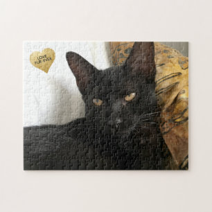 Puzzle Créez votre propre casse-tête de chat avec du te