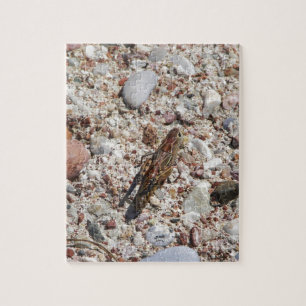 Puzzle Cricket de Jiminy