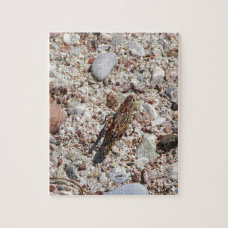 Puzzle Cricket de Jiminy
