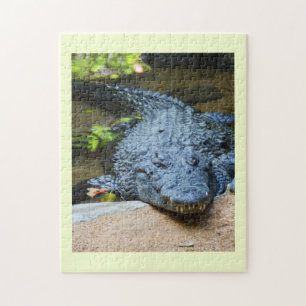 Puzzle Crocodile
