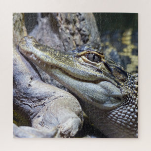 Puzzle Crocodile de bébé mignon et Cheeky souriant