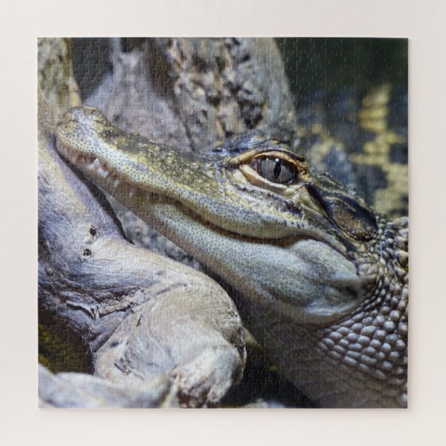 Puzzle Crocodile de bébé mignon et Cheeky souriant (Vertical)