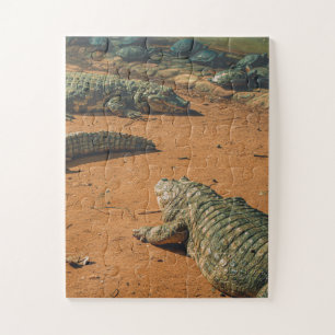 Puzzle Crocodiles à nez court qui bronzent près des tortu