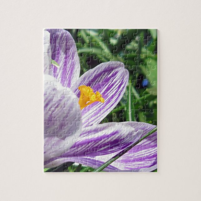 Puzzle Crocus au printemps violet (Vertical)