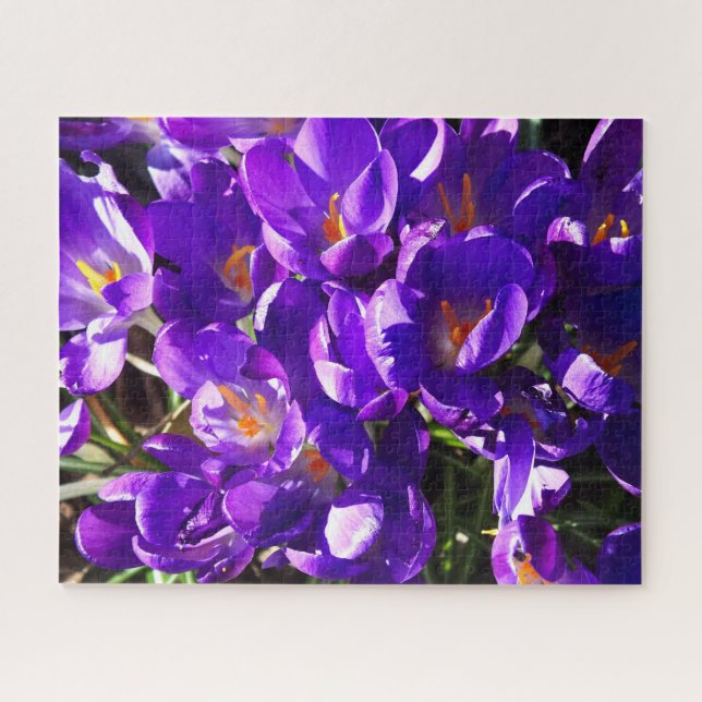 PUZZLE CROCUS DE PRINTEMPS (Horizontal)