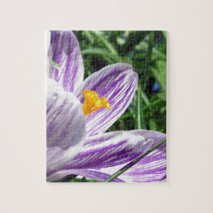 Puzzle Crocus de printemps violet