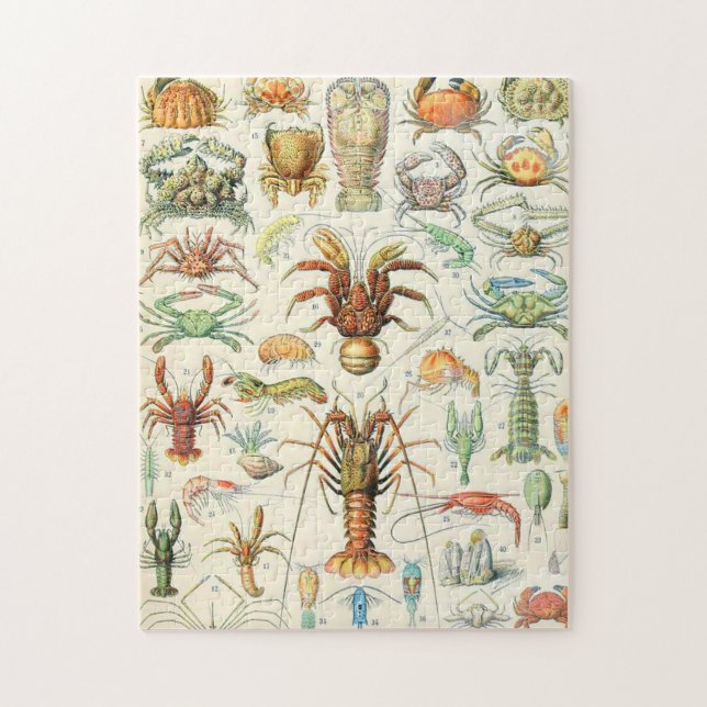 Puzzle Crostères Adolphe Millot (Vertical)
