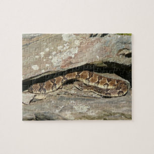 Puzzle Crotale dans le parc national de Shenandoah