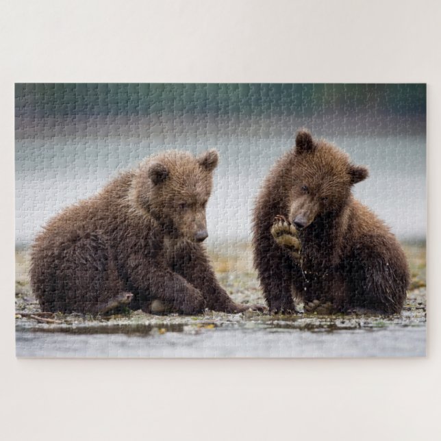 Puzzle Cubes d'ours Brown au ruisseau (Horizontal)