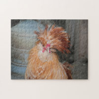Cuisine amusante Tête de Plumes de coq de poulet