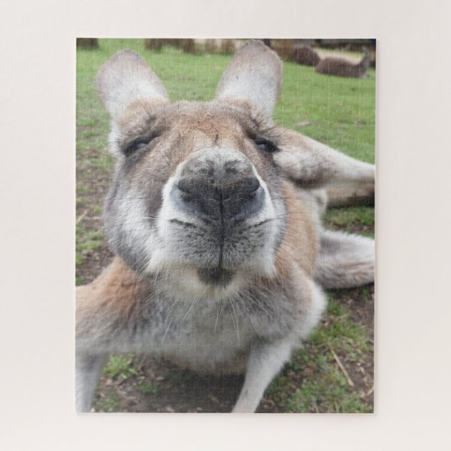 Puzzle Cuisine drôle Visage Kangourou Animal éducatif Pho (Vertical)