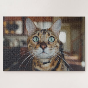 Puzzle curieux casse-tête