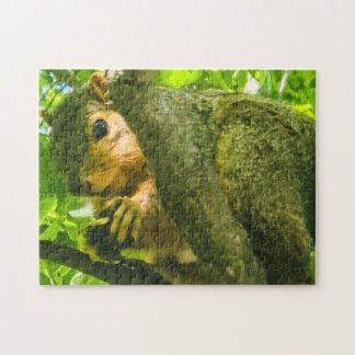 Puzzle "Curieux dans la canopée"