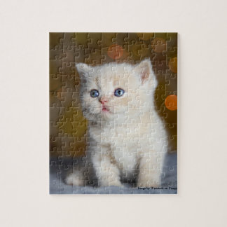 Puzzle Curieux Little Kitty