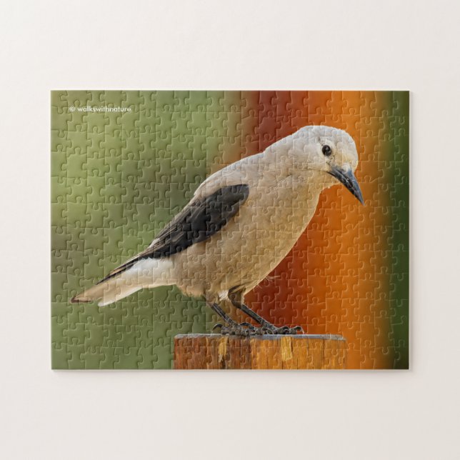 Puzzle Curious Clark's Nutcracker (Horizontal)