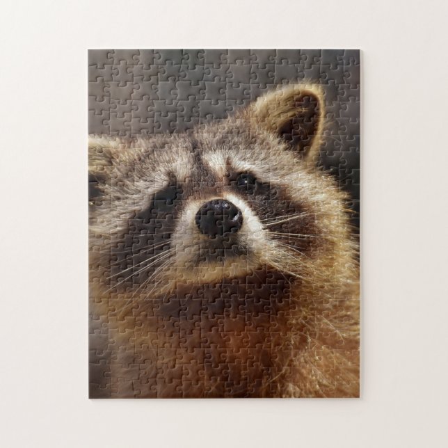 Puzzle Curious Raccoon (Vertical)