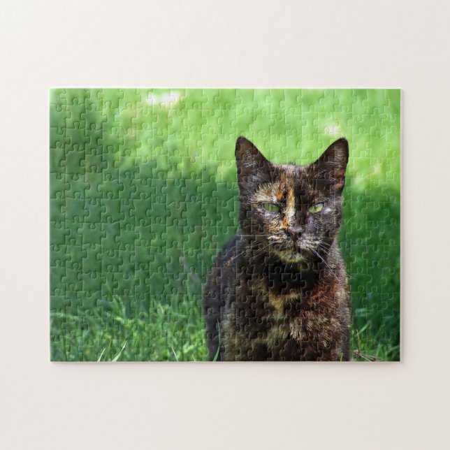 Puzzle Cute Brown Tortoiseshell Photo Chat (Horizontal)