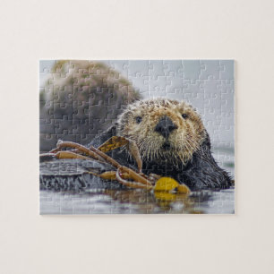 Puzzle Cute California Sea Otter