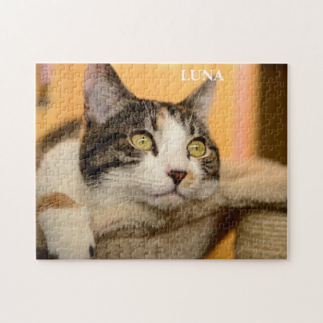 Puzzle Cute chat Calico (Horizontal)