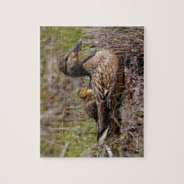 Puzzle Cute Chillin' Mallard Maman Canard Et Bébé Canard