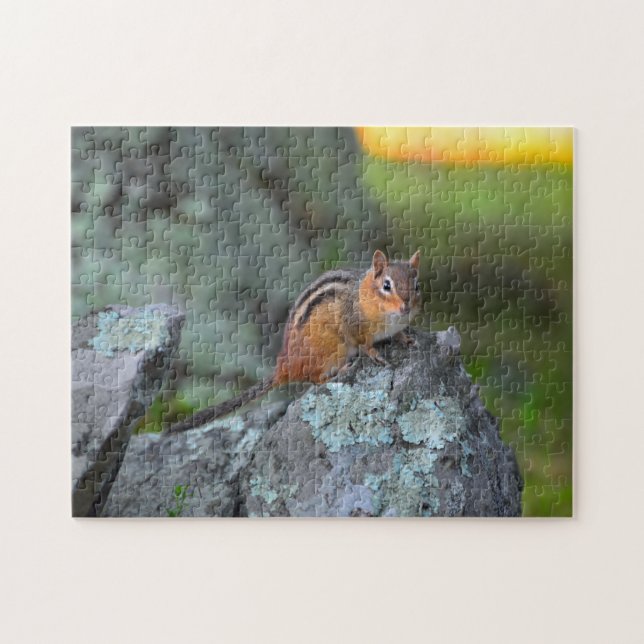Puzzle Cute Chipmunk, Shenandoah National Park (Horizontal)