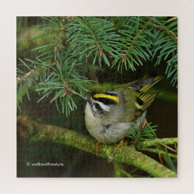 Puzzle Cute Kinglet Songbird Causes Stir in the Fir (Vertical)