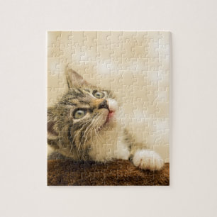 Puzzle Cute Kitten avec une paille étirée