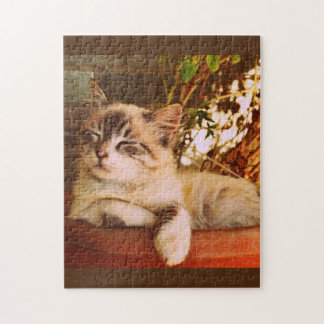 Puzzle Cute Kitten Sommeil