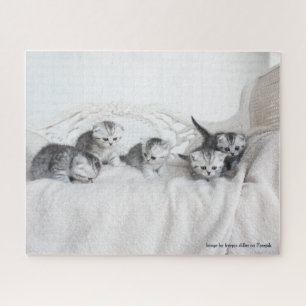 Puzzle Cute Little Kittens