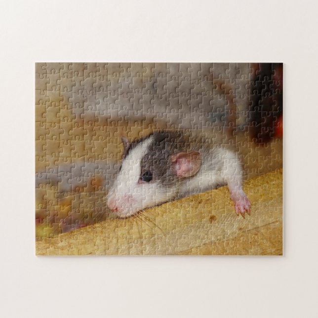 Puzzle Cute rat (Horizontal)