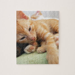 Puzzle Cute Tiger Stripe Kitten
