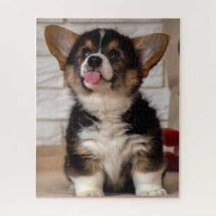 Puzzle Cute Tri Couleur Pembroke Welsh Corgi Chien Chien