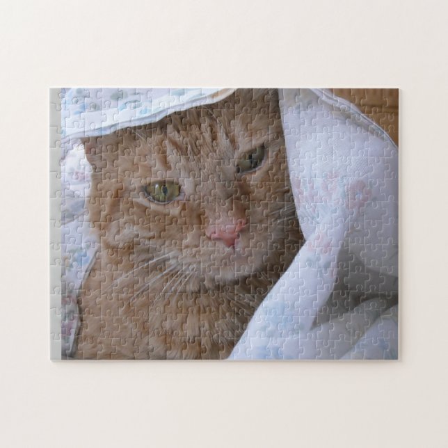 Puzzle Cutesse Tabby Orange (Horizontal)