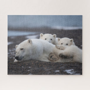 Puzzle Cutest Baby Animals Polar Bear Family Alaska