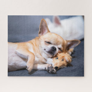 Puzzle Cutest Baby Animals Red-haired Chihuahua Dog