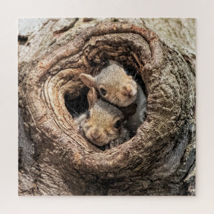 Puzzle Cutest Baby Animals   Two Young Squirrels