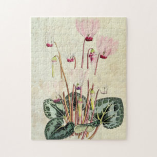Puzzle Cyclamen persan botanique vintage